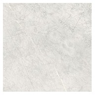 Stone Paradise light grey matt 59,3x59,3