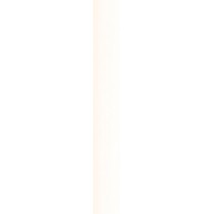 Tamoe bianco cygaro 2,5x19,8